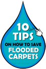 10 Tips To Save Flooded Carpets